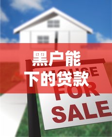 黑户能下的贷款口子有哪些？真实情况分析+避坑指南