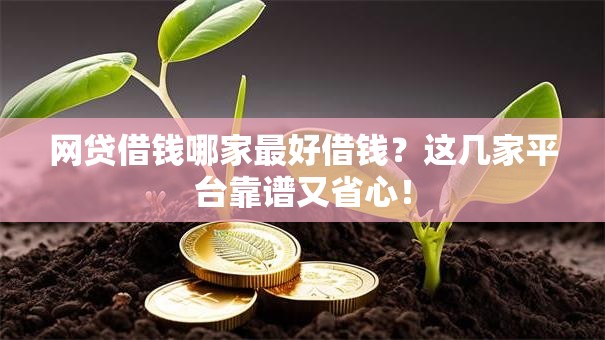网贷借钱哪家最好借钱？这几家平台靠谱又省心！