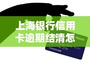 上海银行信用卡逾期结清怎么办？手把手教您正确处理流程