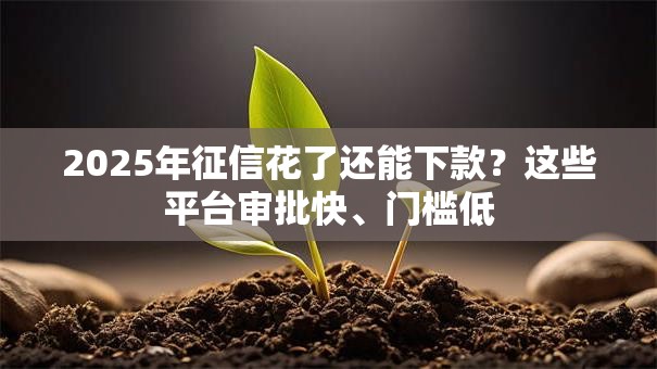 2025年征信花了还能下款？这些平台审批快、门槛低