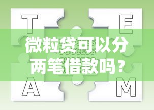 微粒贷可以分两笔借款吗？分次操作流程及注意事项