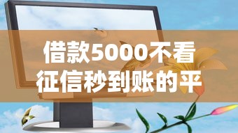 借款5000不看征信秒到账的平台有哪些真实评测