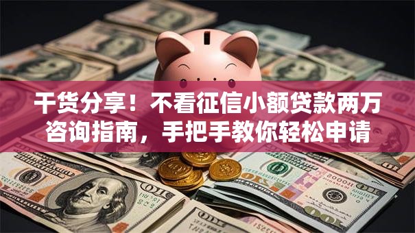 干货分享！不看征信小额贷款两万咨询指南，手把手教你轻松申请