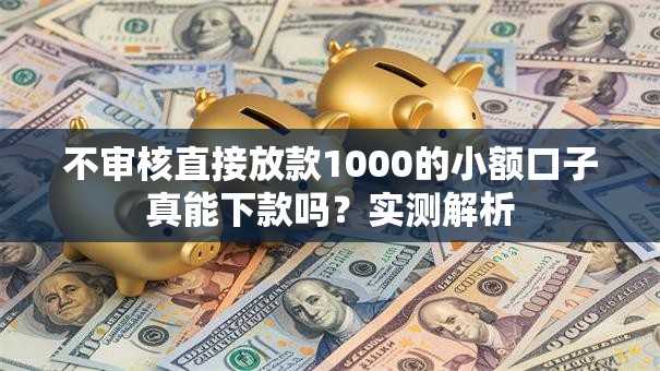 不审核直接放款1000的小额口子真能下款吗？实测解析