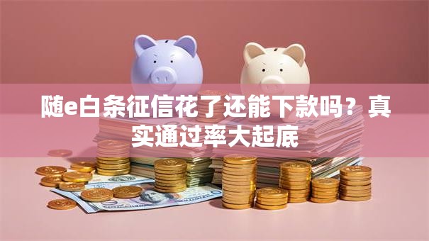 随e白条征信花了还能下款吗？真实通过率大起底