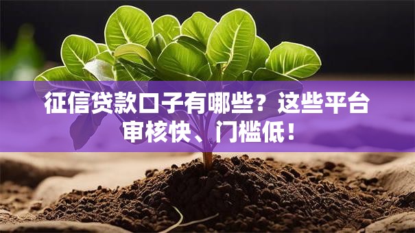 征信贷款口子有哪些？这些平台审核快、门槛低！