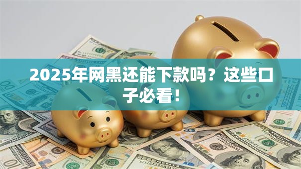 2025年网黑还能下款吗？这些口子必看！