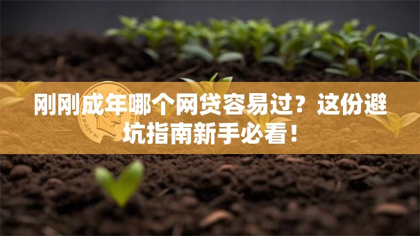 刚刚成年哪个网贷容易过？这份避坑指南新手必看！