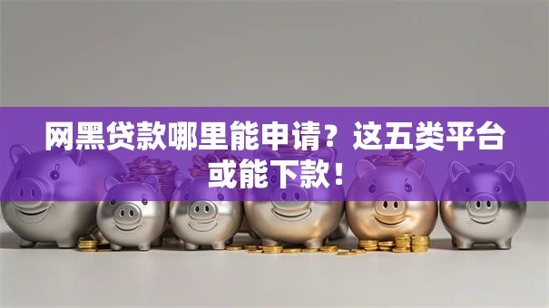 网黑贷款哪里能申请？这五类平台或能下款！