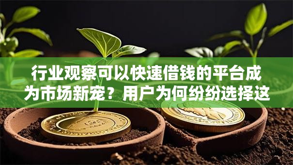 行业观察可以快速借钱的平台成为市场新宠？用户为何纷纷选择这些渠道