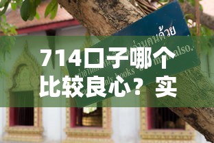 714口子哪个比较良心？实测避坑指南教你选靠谱平台