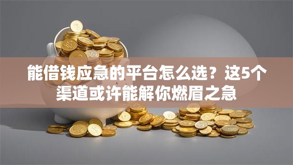 能借钱应急的平台怎么选？这5个渠道或许能解你燃眉之急