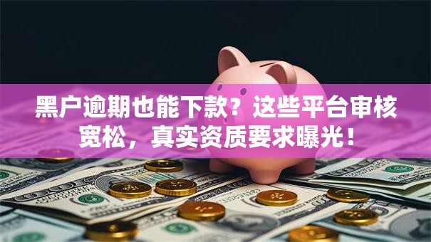 黑户逾期也能下款？这些平台审核宽松，真实资质要求曝光！