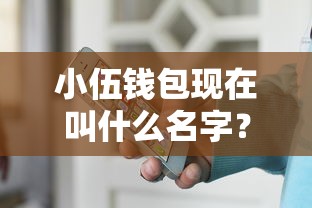 小伍钱包现在叫什么名字？改名后还能贷款吗？使用攻略全解析