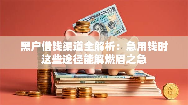 黑户借钱渠道全解析：急用钱时这些途径能解燃眉之急