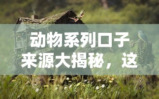 动物系列口子来源大揭秘，这些平台背景你真的了解吗？