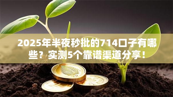 2025年半夜秒批的714口子有哪些？实测5个靠谱渠道分享！