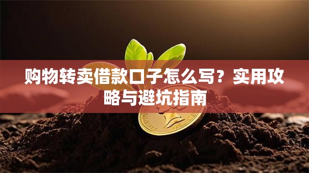 购物转卖借款口子怎么写？实用攻略与避坑指南