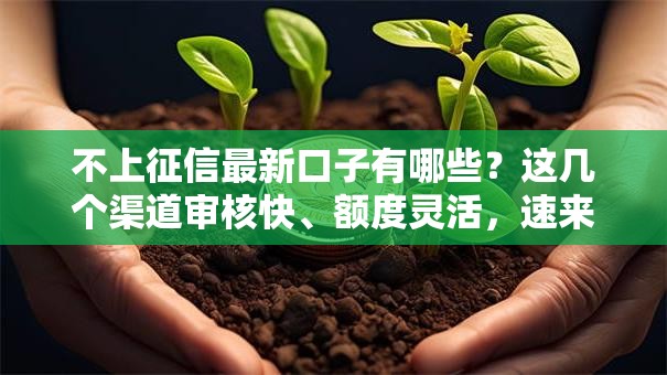 不上征信最新口子有哪些？这几个渠道审核快、额度灵活，速来了解！