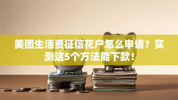 美团生活费征信花户怎么申请？实测这5个方法能下款！