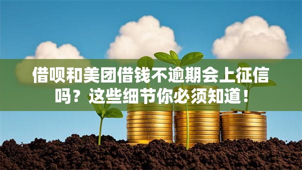 借呗和美团借钱不逾期会上征信吗？这些细节你必须知道！
