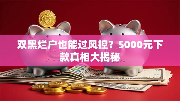 双黑烂户也能过风控？5000元下款真相大揭秘