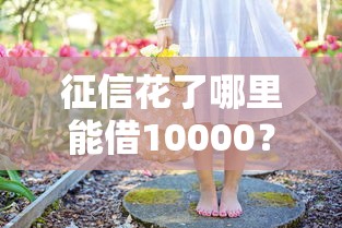 征信花了哪里能借10000？试试这几个靠谱渠道和注意事项