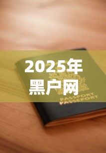2025年黑户网贷申请指南：这几个低门槛平台或许能帮你