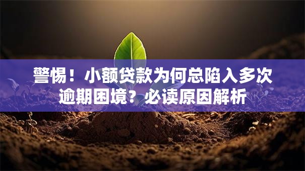 警惕！小额贷款为何总陷入多次逾期困境？必读原因解析