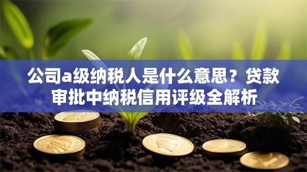 公司a级纳税人是什么意思？贷款审批中纳税信用评级全解析