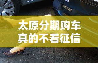太原分期购车真的不看征信吗?内行人帮你扒透真相 太原分期购车真的不看征信吗?内行人帮你扒透真相