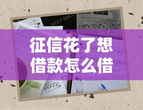 征信花了想借款怎么借？三招教你破解难题