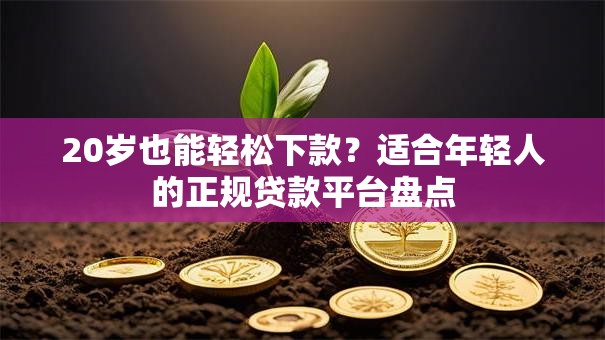 20岁也能轻松下款？适合年轻人的正规贷款平台盘点