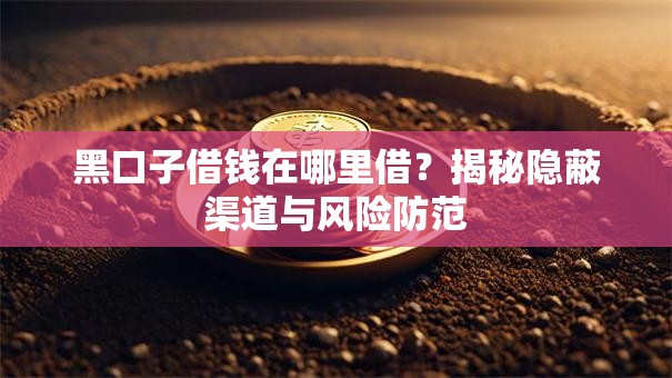 黑口子借钱在哪里借？揭秘隐蔽渠道与风险防范