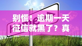 别慌！逾期一天征信就黑了？真实情况原来是这样的