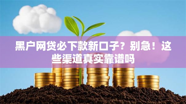 黑户网贷必下款新口子？别急！这些渠道真实靠谱吗