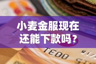 小麦金服现在还能下款吗？最新审核政策解析