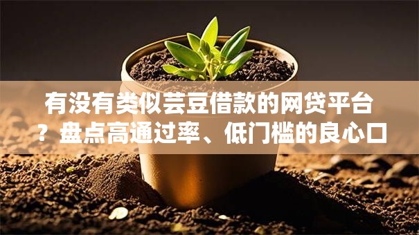 有没有类似芸豆借款的网贷平台？盘点高通过率、低门槛的良心口子