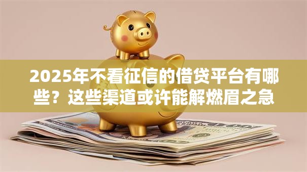 2025年不看征信的借贷平台有哪些？这些渠道或许能解燃眉之急
