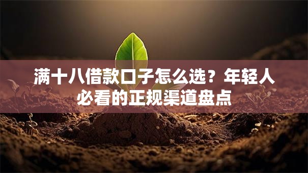 满十八借款口子怎么选？年轻人必看的正规渠道盘点