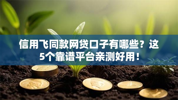 信用飞同款网贷口子有哪些？这5个靠谱平台亲测好用！