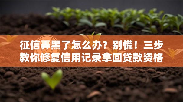 征信弄黑了怎么办？别慌！三步教你修复信用记录拿回贷款资格