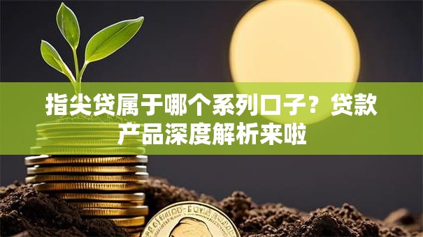 指尖贷属于哪个系列口子？贷款产品深度解析来啦