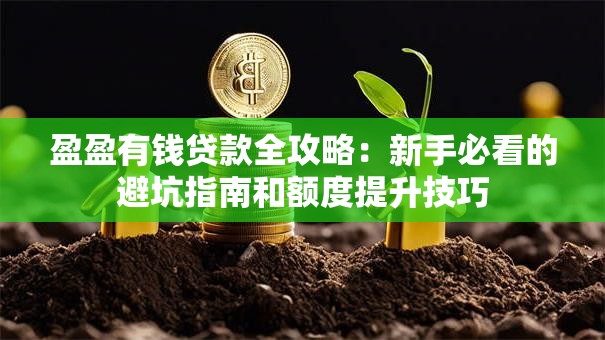 盈盈有钱贷款全攻略：新手必看的避坑指南和额度提升技巧