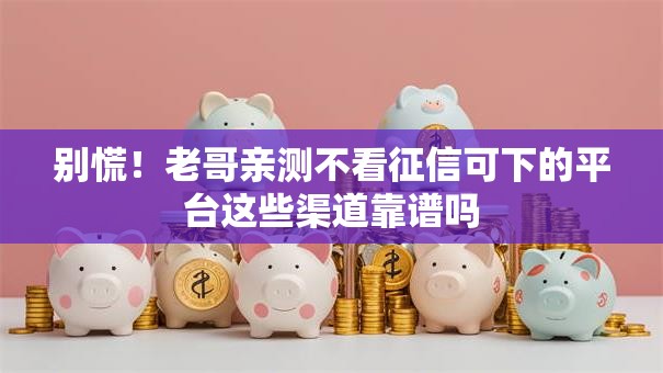 别慌！老哥亲测不看征信可下的平台这些渠道靠谱吗