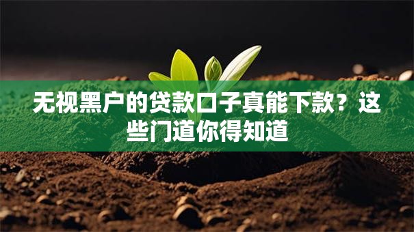 无视黑户的贷款口子真能下款？这些门道你得知道