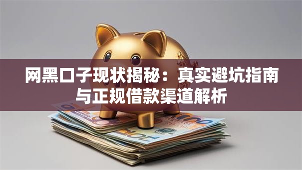 网黑口子现状揭秘：真实避坑指南与正规借款渠道解析