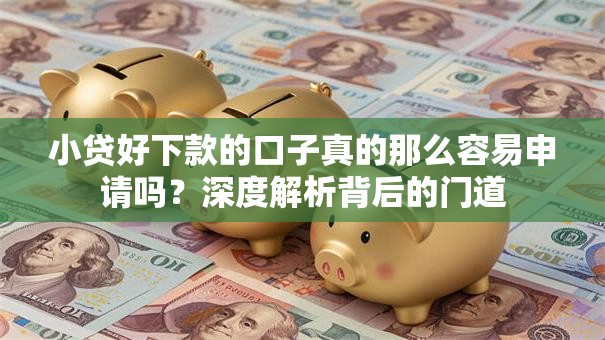 小贷好下款的口子真的那么容易申请吗？深度解析背后的门道