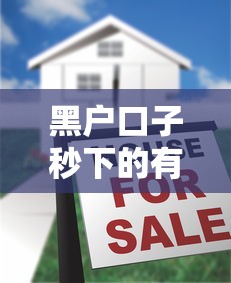 黑户口子秒下的有吗？揭秘快速下款真实门道