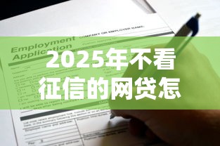 2025年不看征信的网贷怎么申请？这些渠道或许能救急！